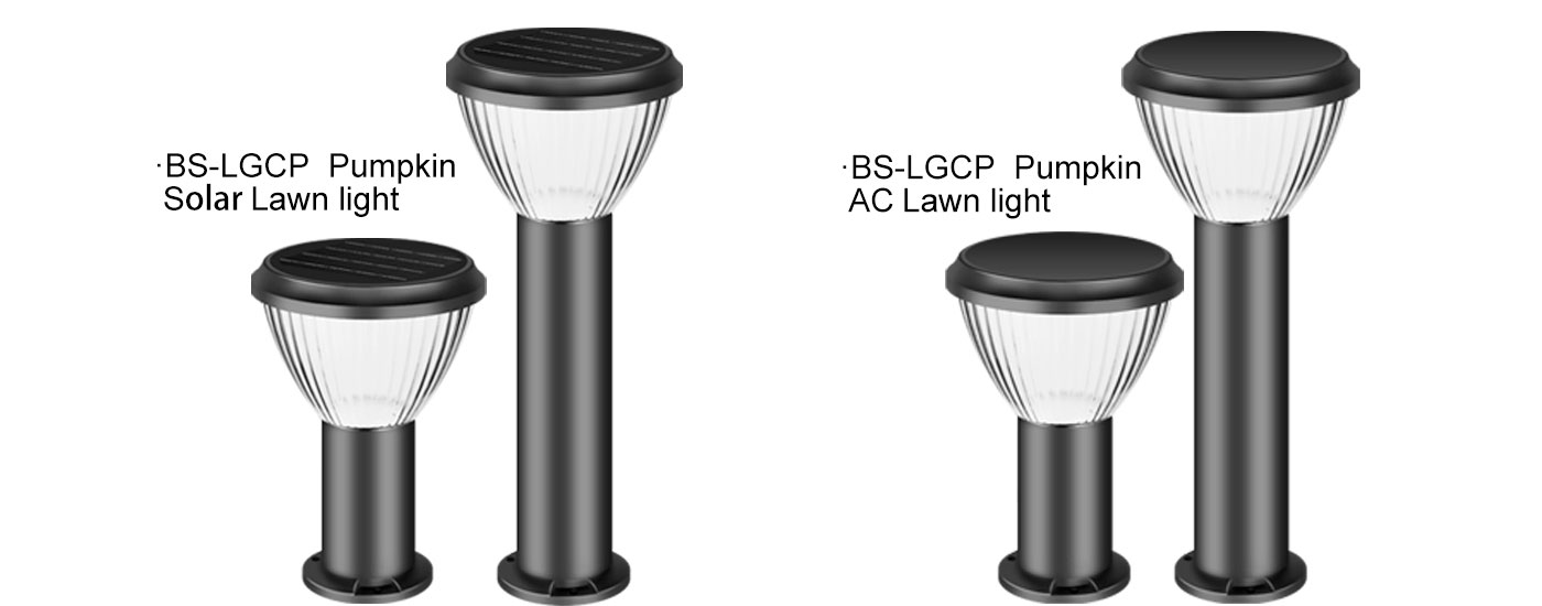 BS-LGCP-اليقطين-ضوء الحديقة7