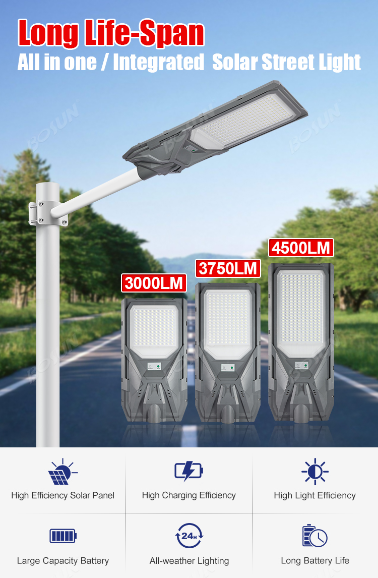 all in one solar street light with MPPT controller and LiFePO4 battery